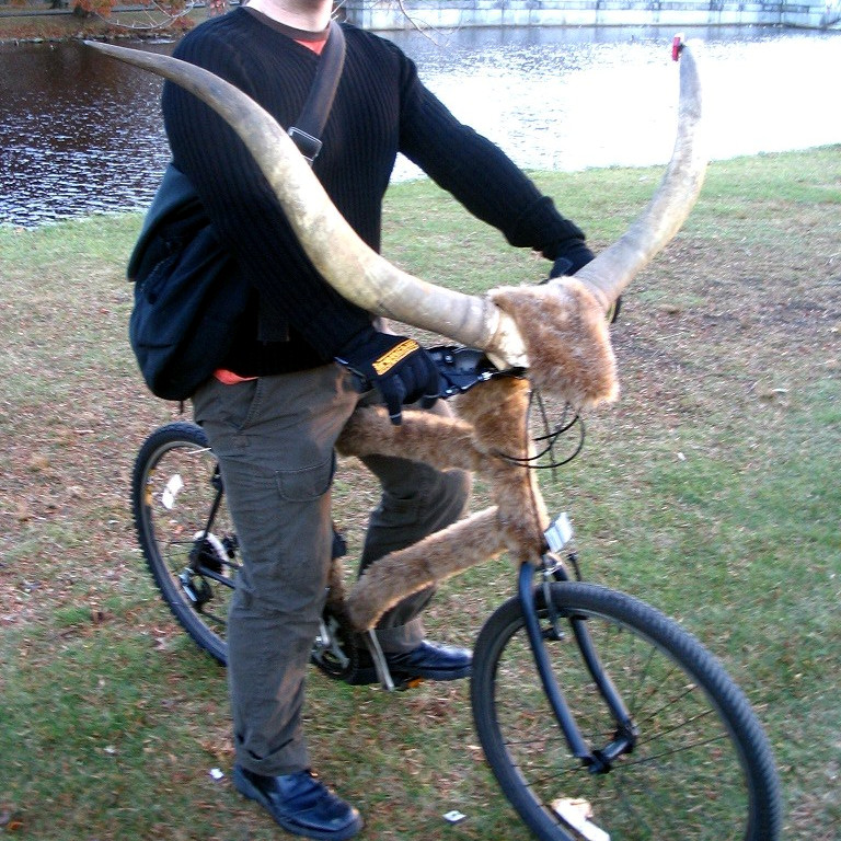 bicycleuffalo